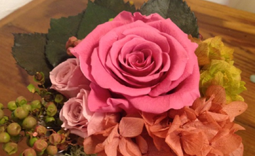 福岡・新宮の独立開業支援スクール：ビジネスクラス