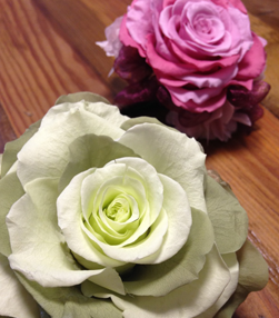 独立開業支援スクール：お花レッスン（プリザーブドフラワー）