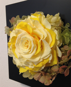 福岡・新宮の独立開業支援スクール:プロフェッショナルクラス