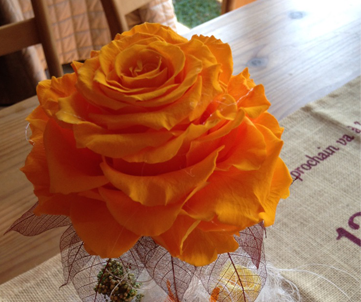 福岡・新宮の独立開業支援スクール:プロフェッショナルクラス